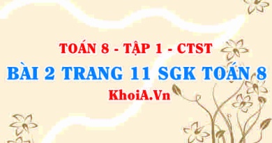 Bài 2 trang 11 SGK Toán 8 Tập 1 Chân trời sáng tạo